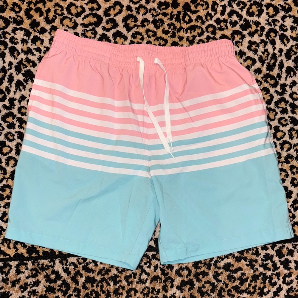Chubbies Striped Swim Shorts XL